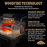 Ninja Woodfire Pro Connect XL Electric BBQ Grill and Smoker with App Control, Digital Probe, Large 7-in-1 Outdoor Grill and Air Fryer with Woodfire Pellets, Weather Resistant, Blue and Black OG901UK