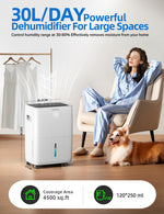 Dehumifer 30L/Day Dehumidifier - White 4L Tank D25-30L