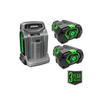 EGO LM2142SP 21″ Poly Deck Dual-port SP Lawn Mower Kit (550W Charger, 2*5.0Ah)