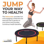 The Leaps & ReBounds Fitness Trampoline – Bungee Rebounder